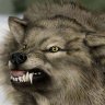 gartenwolf