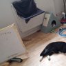 Urlaub26