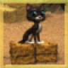 sunny00Bond