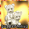 suppermaus