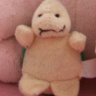 -Koopi-