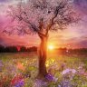 -Regenbogen52-