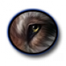 wolfwoman12
