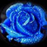 BlueRose2906