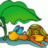 TurtlesFarm