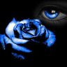 BlueRoseNancy