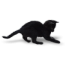 catboo