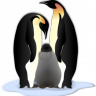 shadowangel77