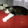 Lottchen007