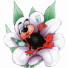 Angelonia