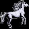 silverhorse44