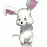 *Snowbunny*