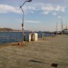 Stierire