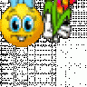 Dunkelelfin