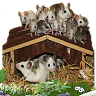 Farmermaus-74
