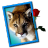-Silberlöwe-