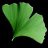 _Ginkgo_