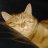 Tiggerbaby02328