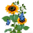 -blümchen-