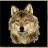 Guardian.Wolf