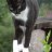 Chrissie67