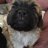 Lucy2902
