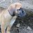 ~Lucy2902~