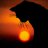 Anka_Dingens