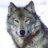 Wolflady1409