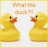 Birgitta2208