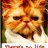 catsfriend1962