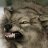 gartenwolf