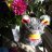 Gladiole23