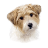 kennie63