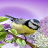 birgit0805