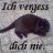 Versuch2