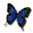 Olaf78