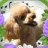 Kagro