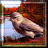 snake-
