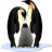 shadowangel77