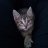 -FarmerMaus85-