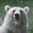 bigbearly