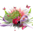 janni1