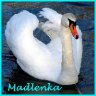 .Madlenka.