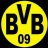 bvbkuba