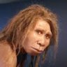 NeandertalAIR46