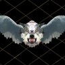 AirrrWolf