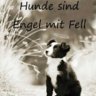 PüppyEngel01