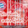 sternenstaubflieger