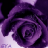 evi_gal
